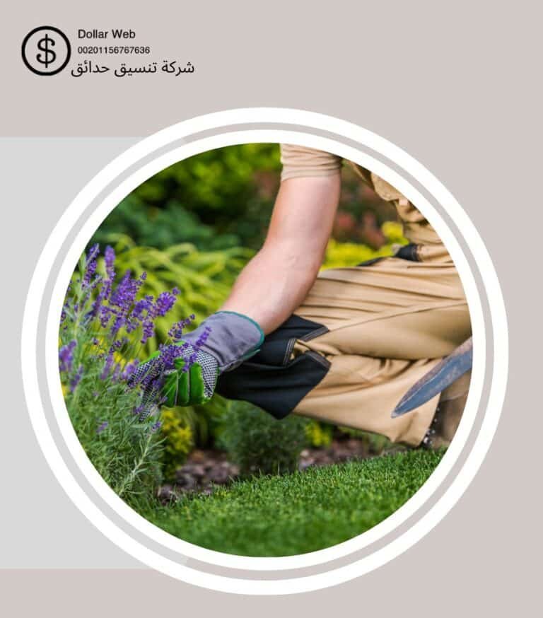 تنسيق حدائق الدرعية