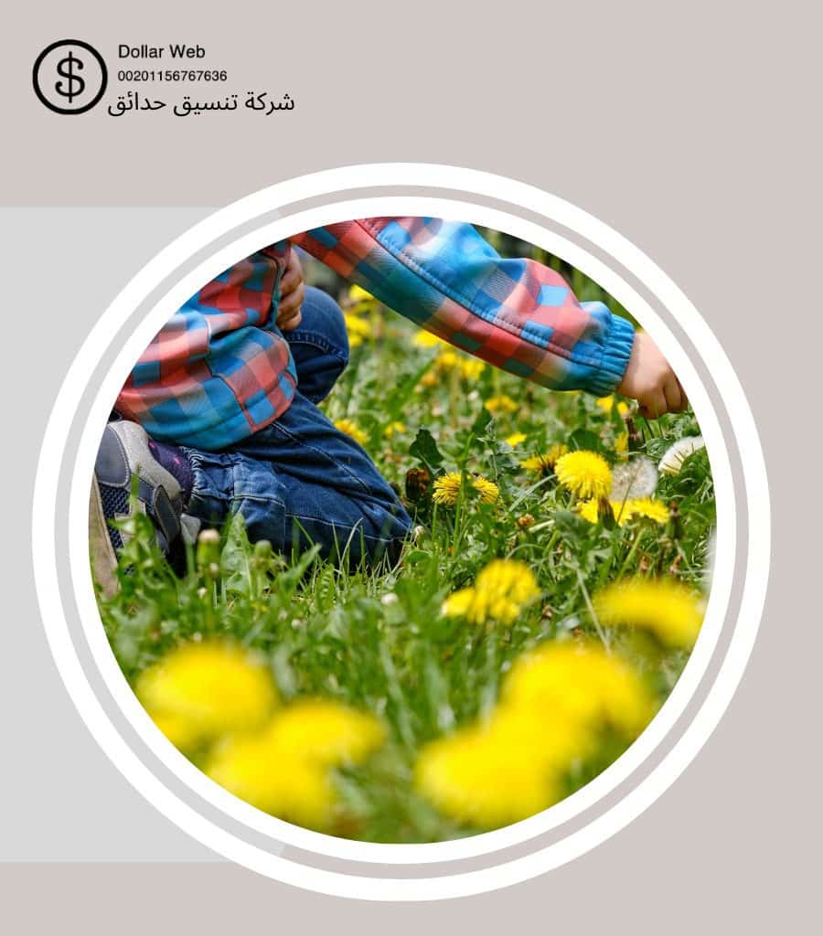 تنسيق حدائق الريان