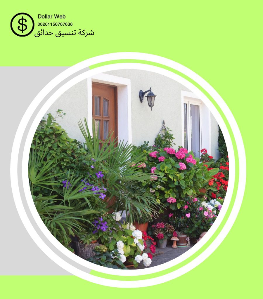 تنسيق حدائق النخيل