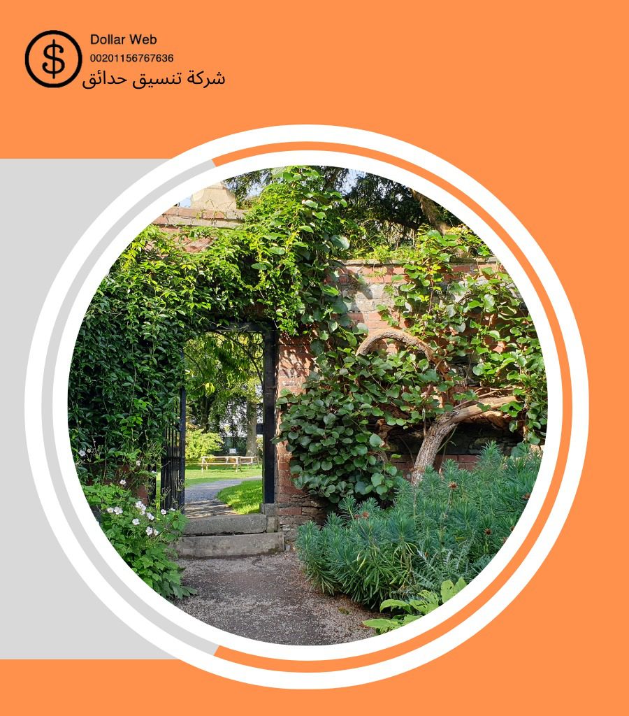 تنسيق الحدائق شبرا