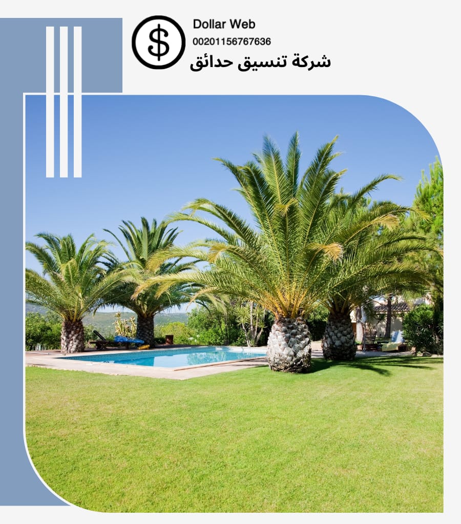 تنسيق حدائق الدريهمية