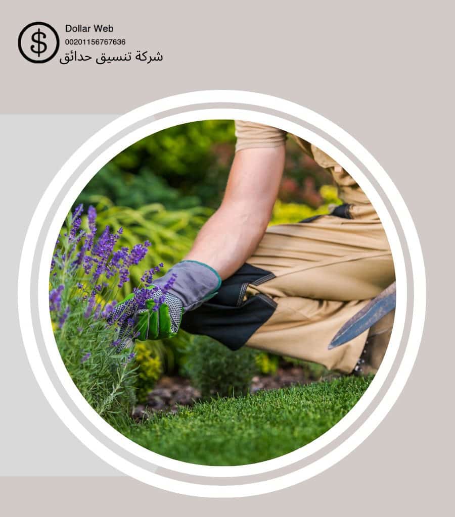 تنسيق حدائق حي العارض بالرياض